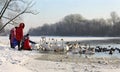 Swans and ducks on river in winter Royalty Free Stock Photo