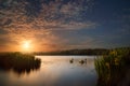 Swans and Flowers on Lake at Sunset