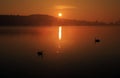 Swans silhouetted in a Tawny sunrise reflected in Ravensthorpe Reservoir, Ravensthorpe, Northamptonshire