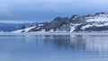 Swans and geese at Trondheim fjord