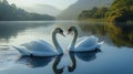Swans heart-shaped pose on calm misty lake, mountains backdrop, romantic postcard Royalty Free Stock Photo