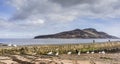 Swans & Holy Isle from Lamlash on the Isle of Arran in Scotland.