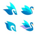 Swans ideas design vector illustration