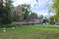 Swans at Lake of Love and Beguinage, Bruges, Belgium Royalty Free Stock Photo