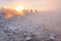 Swans lake mist winter sunset Royalty Free Stock Photo