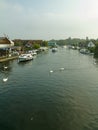 The swans and the landscape at Wroxham