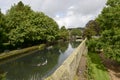 Swans in moat at Bishop Palace,Wells