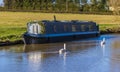 Swans passing a moored canal boat on the Grand Union canal at Debdale Wharf, UK Royalty Free Stock Photo