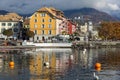 Swans swimming in Lake Geneva, town of Vevey, Switzerland