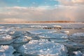 Swans in Toronto's Cherry Beach during winter