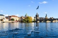 Swans on Vltava river beside the Charles Bridge in Prague, Czech Republic. Royalty Free Stock Photo