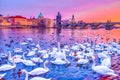 Swans on Vltava river, Charles Bridge at sunset in Prague, Czech Republic.