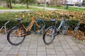 Swapfiets bikes bicycles parked in autumn Utrecht