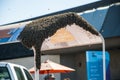 Swarm of bees at a bus stop San Diego in California Royalty Free Stock Photo