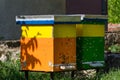 Two bee hives and swarm flying around on summer day in apiary Royalty Free Stock Photo