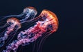 A swarm of colorful, vibrantly patterned jellyfish undulate gracefully through the dark waters, creating a stunning