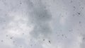 A swarm of dragonflies in the sky