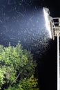 Swarm of insects and mosquitoes around the lamp of an electric spotlight at night outdoors