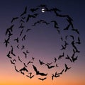 Visible, partially obscured by the bats, and stars are faintly scattered Royalty Free Stock Photo