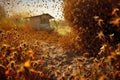 swarming honeybees moving to a new hive location