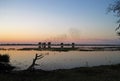 SWARMS OF BIRDS FLYING OVER THE WATER OF CHOBE RIVER AT SUNSET Royalty Free Stock Photo