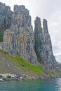 Swarms of Birds on Nesting Cliffs in the High Arctic Royalty Free Stock Photo