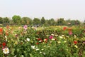 Swarn Jayanti Park, Rohini, New Delhi, India