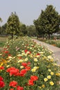 Swarn Jayanti Park, Rohini, New Delhi, India Royalty Free Stock Photo