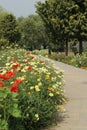 Swarn Jayanti Park, Rohini, New Delhi, India