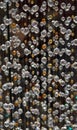 Swarovski crystal beaded curtain. Bead curtains pattern, texture background Royalty Free Stock Photo