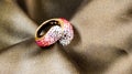 Swarovski crystal ring Royalty Free Stock Photo