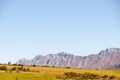 Swartberg Mountains Royalty Free Stock Photo