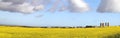 Yellow Canola Field, Blue Sky And White Clouds In The West Cape.
