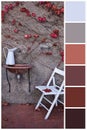 Collage collection combination of autumn light and dark palette