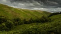 Swathe of trees cutting the landscape