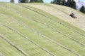 Swather windrower and rows of cut hay windrow Royalty Free Stock Photo