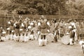 Swazi dancers Royalty Free Stock Photo