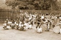 Swazi dancers