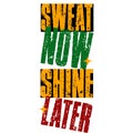 Sweat Now. Shine Later. Inspiring Workout and Fitness Gym Motivation