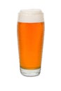 Sweated Craft Pub Beer Glass 5