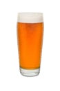 Sweated Craft Pub Beer Glass 7