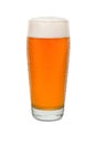 Sweated Craft Pub Beer Glass 4