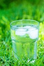 Sweated frosty glass with clear pure cool water with ice cubes on green grass background. Hydration summer refreshment