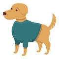 Sweater dog clothes icon, cartoon style Royalty Free Stock Photo