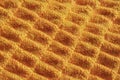 Sweater Macro Background