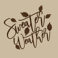 Sweater weather - autumnal thanksgiving handwritting text, with leaves.