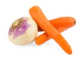 Swede Swedish turnip Royalty Free Stock Photo