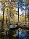 Sweden Autumn Trees Sky Lake Bridge Royalty Free Stock Photo