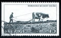 Man with horse drawn sower