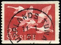 SWEDEN - CIRCA 1956: stamp 25 Swedish ore printed by Sweden, shows Whooper Swan Cygnus cygnus, fauna, circa 1956